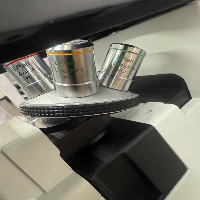 Accu-Scope EXI-310 Inverted Microscope image 1